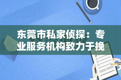 东莞市私家侦探：专业服务机构致力于挽回黑河地区的婚姻